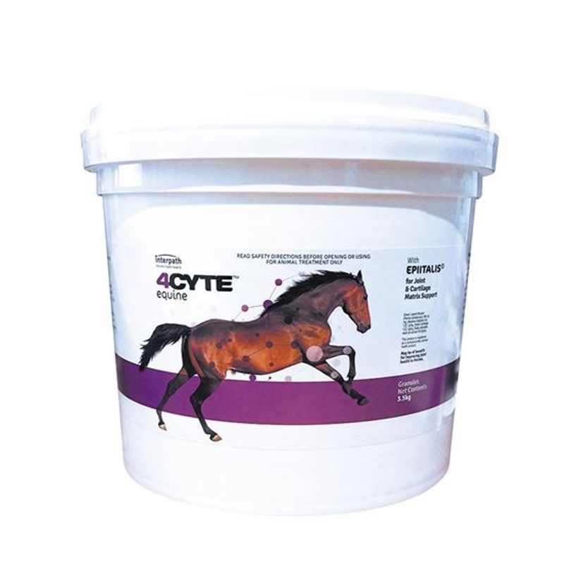 4CYTE EQUINE GRANULES (2 Variants) - Furbabies Online