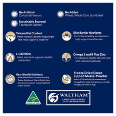 ADVANCE Adult Retrievers Chicken And Salmon with Rice - Furbabies Online