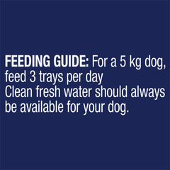 ADVANCE Adult Single Serve Turkey Wet Dog Food Trays - Furbabies Online