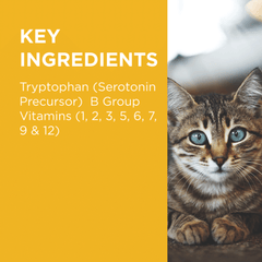 BLACKMORES Complete Calm Chews For Cat - Furbabies Online