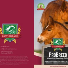Castlereagh Probreed - Furbabies Online