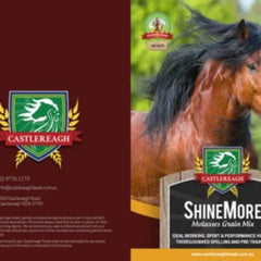 Castlereagh SHINEMORE - Furbabies Online