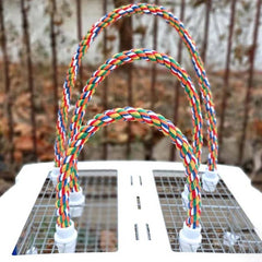 Multi - Color Parrot Perch - Furbabies Online