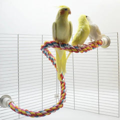 Multi - Color Parrot Perch - Furbabies Online