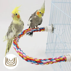Multi - Color Parrot Perch - Furbabies Online