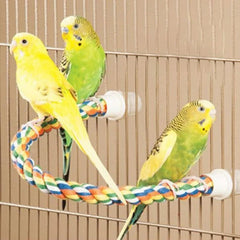 Multi - Color Parrot Perch - Furbabies Online