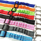 PET CAR SEATBELT - Furbabies Online