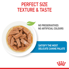 Royal Canin Maxi Puppy Wet Dog Food Pouches - Furbabies Online