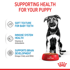 Royal Canin Maxi Puppy Wet Dog Food Pouches - Furbabies Online