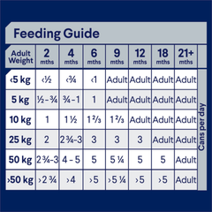 ADVANCE Puppy Plus Growth Lamb And Rice Wet Dog Food Cans - Furbabies Online