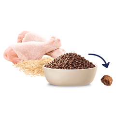 ADVANCE Small Puppy Rehydratable Dry Dog Food Chicken With Rice - Furbabies Online