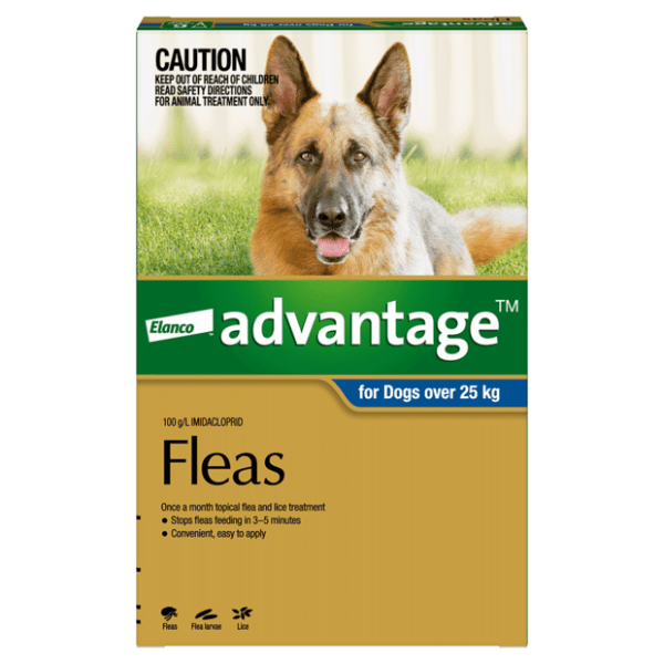 Advantage Extra Large Dog Flea Treatment - Furbabies Online