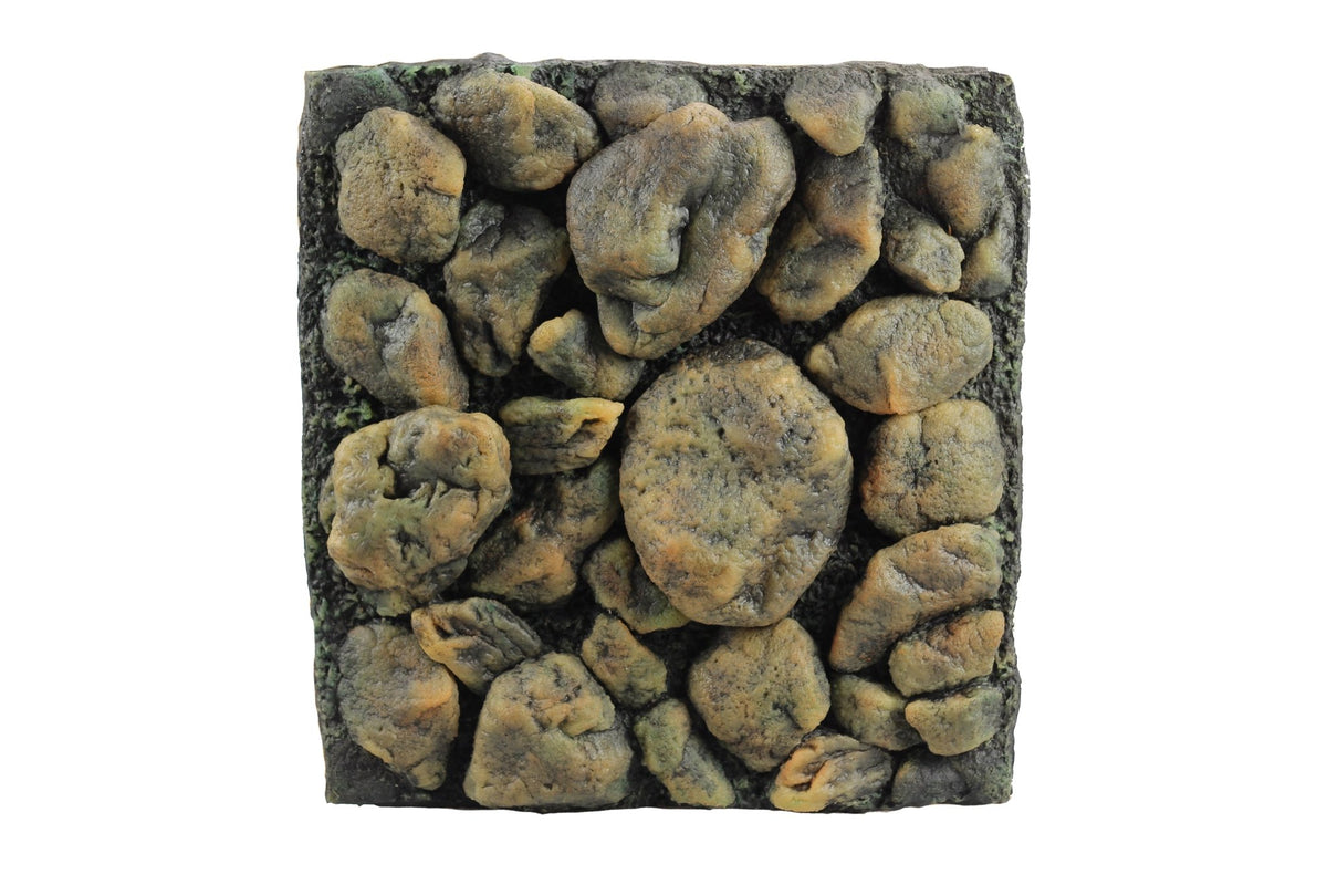 Background Latex Algae Rocks - Furbabies Online