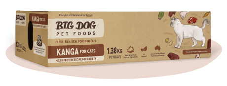 Big Dog Raw Food for Cats 1.38kg (Frozen) (2 Flavour) - Furbabies Online