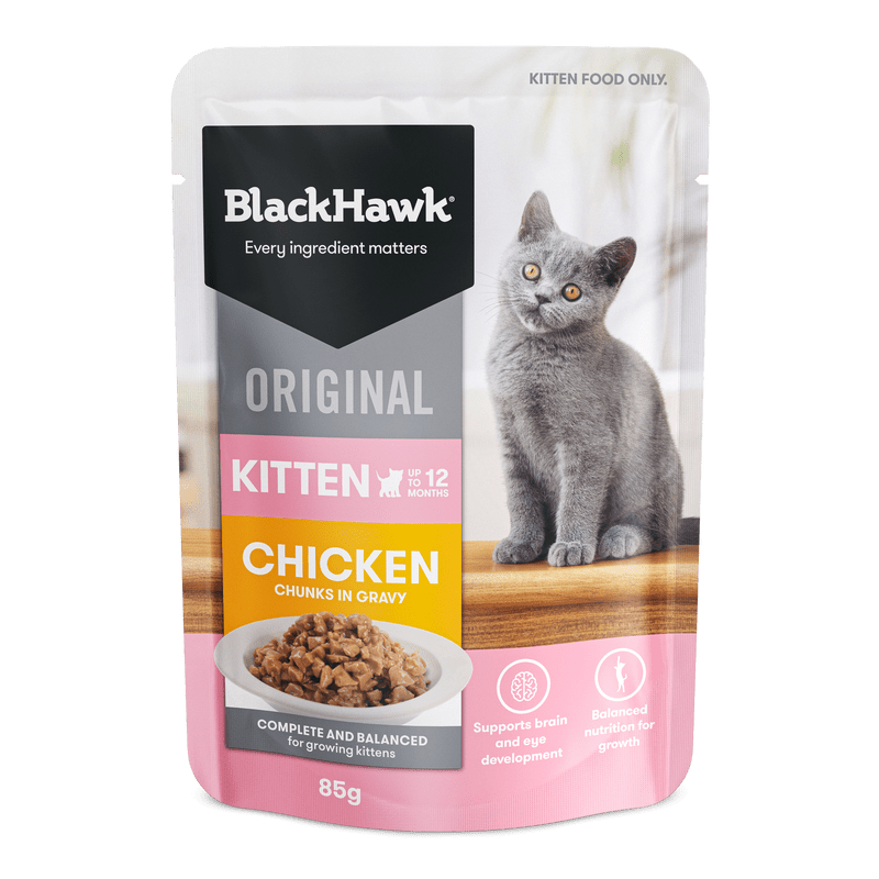 Black Hawk Kitten Gravy 85g 12 Pack (2 Flavour) - Furbabies Online