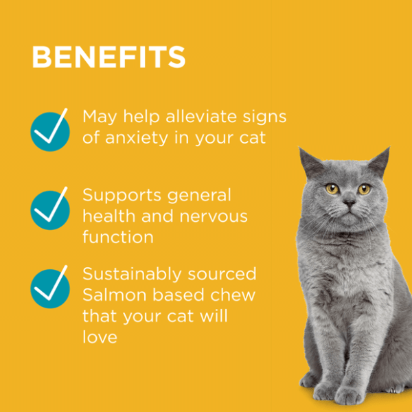 BLACKMORES Complete Calm Chews For Cat - Furbabies Online