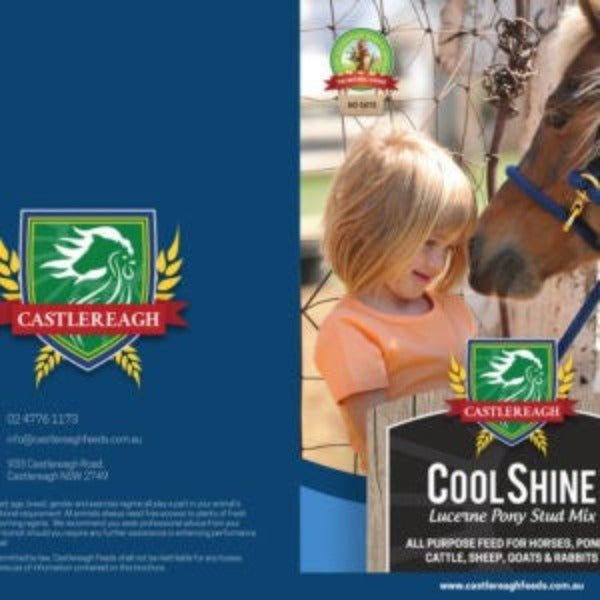 Castlereagh Coolshine - Furbabies Online