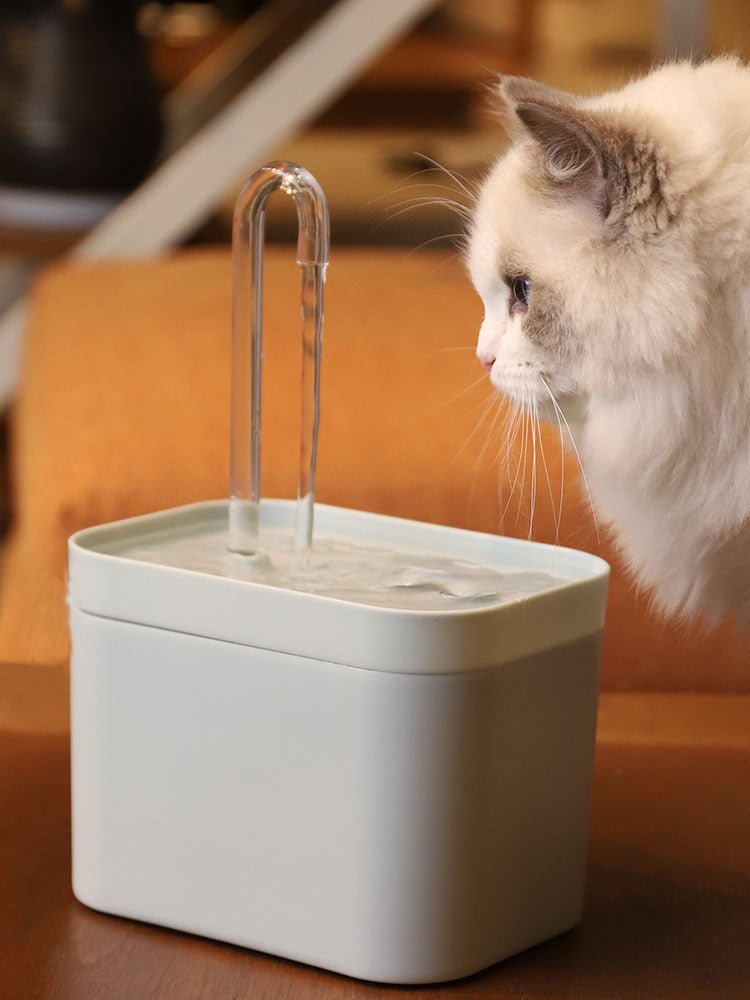 Cat Water Fountain – Auto Filter - Silent Pump, - Furbabies Online