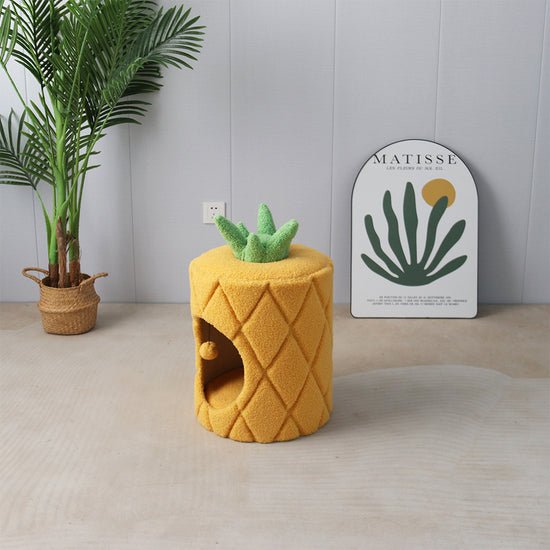 CATIO Pineapple Cat House - Furbabies Online