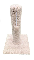 Crazy Cat Scratcher 27 - Furbabies Online