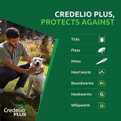 Credelio Plus for Medium Dogs - Furbabies Online