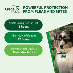 Credelio Plus Large Dog - Furbabies Online