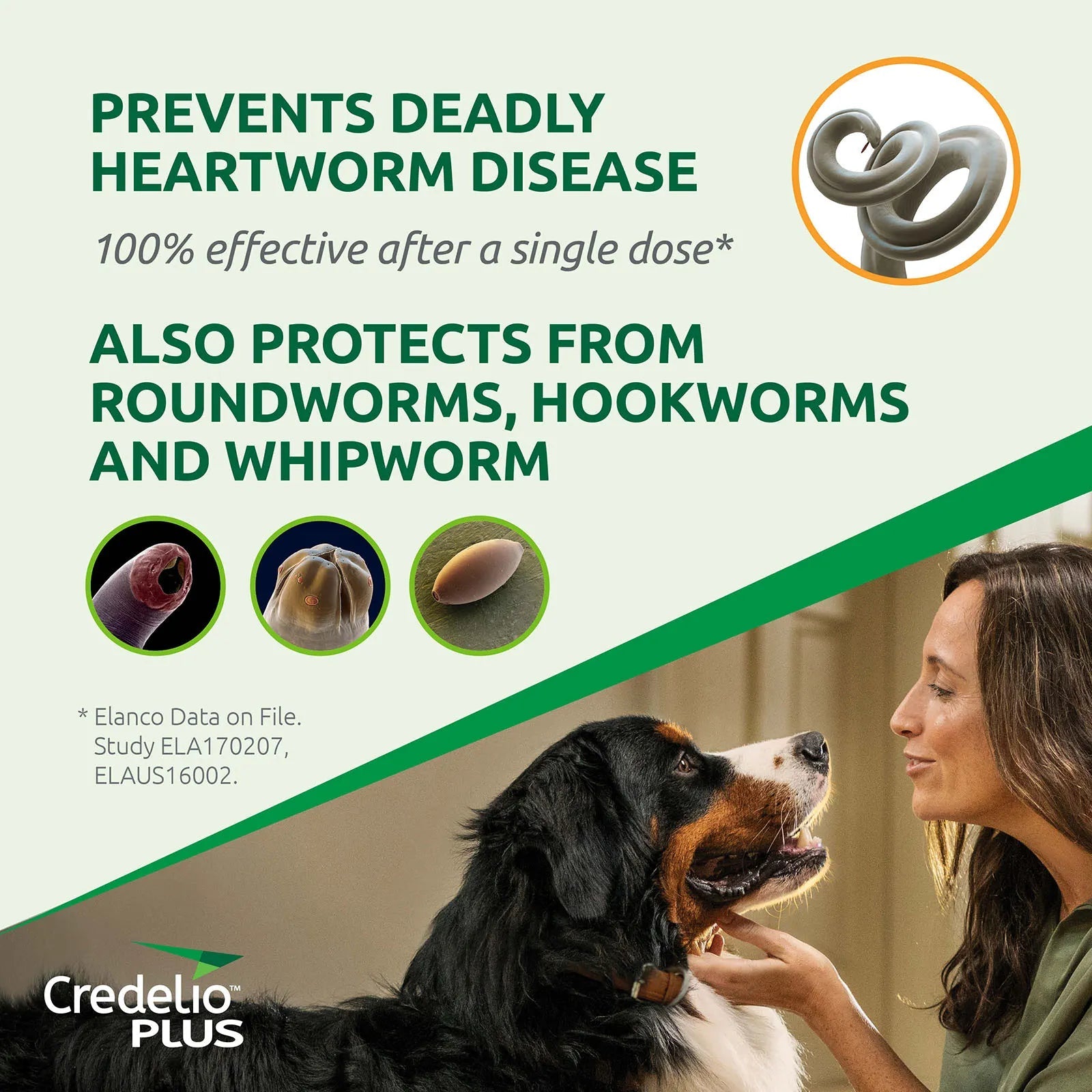 Credelio Plus Large Dog - Furbabies Online
