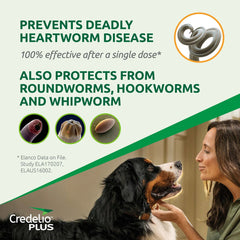 Credelio Plus Large Dog - Furbabies Online