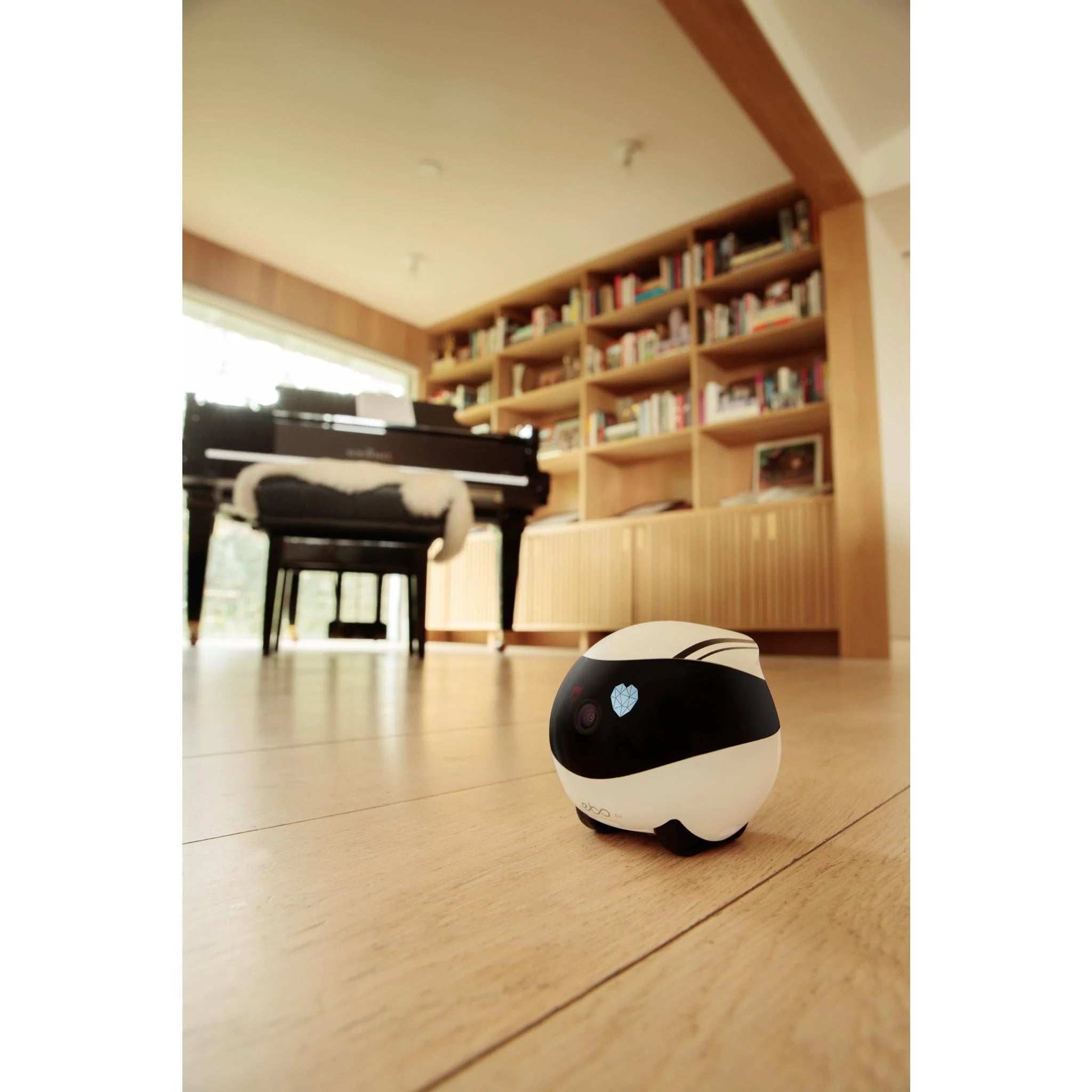 Enabot Ebo - Air Interactive Pet Companion - Furbabies Online