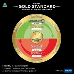 Equimax Wormer Paste: Parasite Protection - Furbabies Online