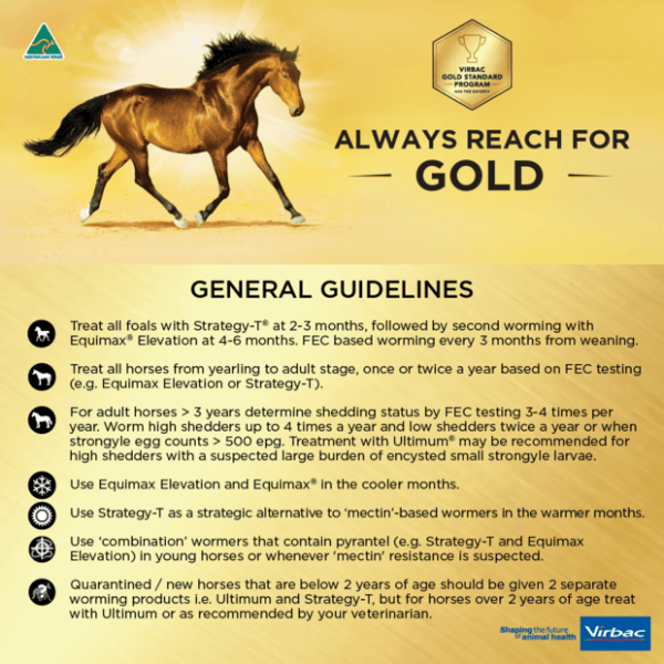 Equimax Wormer Paste: Parasite Protection - Furbabies Online