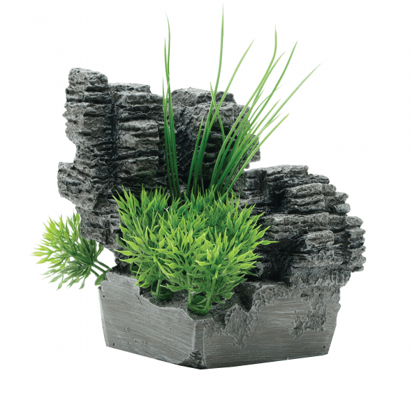 Fluval Chi - Furbabies Online