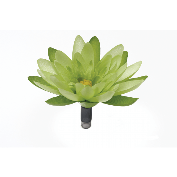 Fluval Chi - Furbabies Online