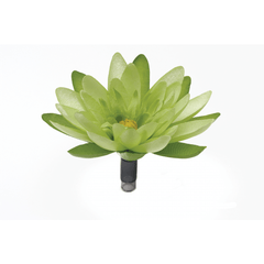 Fluval Chi - Furbabies Online