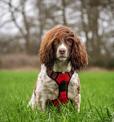 Furbabies™ Tactical No - Pull Harness - Furbabies Online