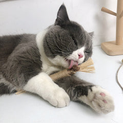 FurTails Silvervine Dental Stick® - Furbabies Online