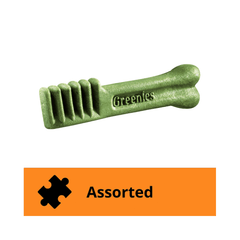Greenies Blueberry Flavour Regular Dog Dental Treats - Furbabies Online