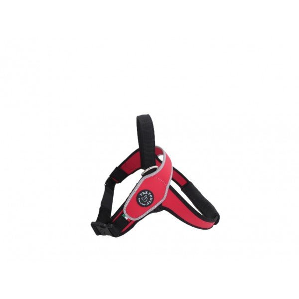Harness Ratchet Buckle & Ribbed Band Reflective Hem - Furbabies Online