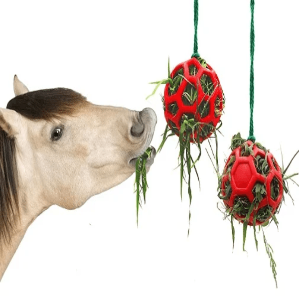Horse Treat Ball Hay Feeder Toy: Engaging Foraging Fun - Furbabies Online