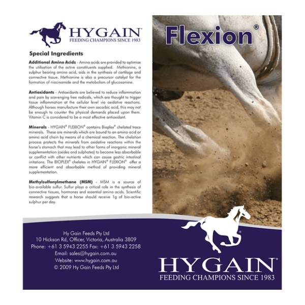 Hygain Flexion: Advanced Joint Support for Horses - Furbabies Online
