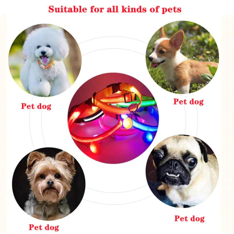 LED Adjustable Dog Collar Blinking Flashing Light Up Glow Pets Safety Waterproof - Furbabies Online