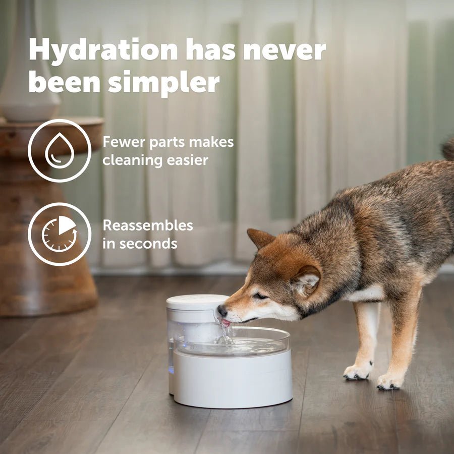 Outlast Pumpless Pet Fountain 1.7L - Furbabies Online