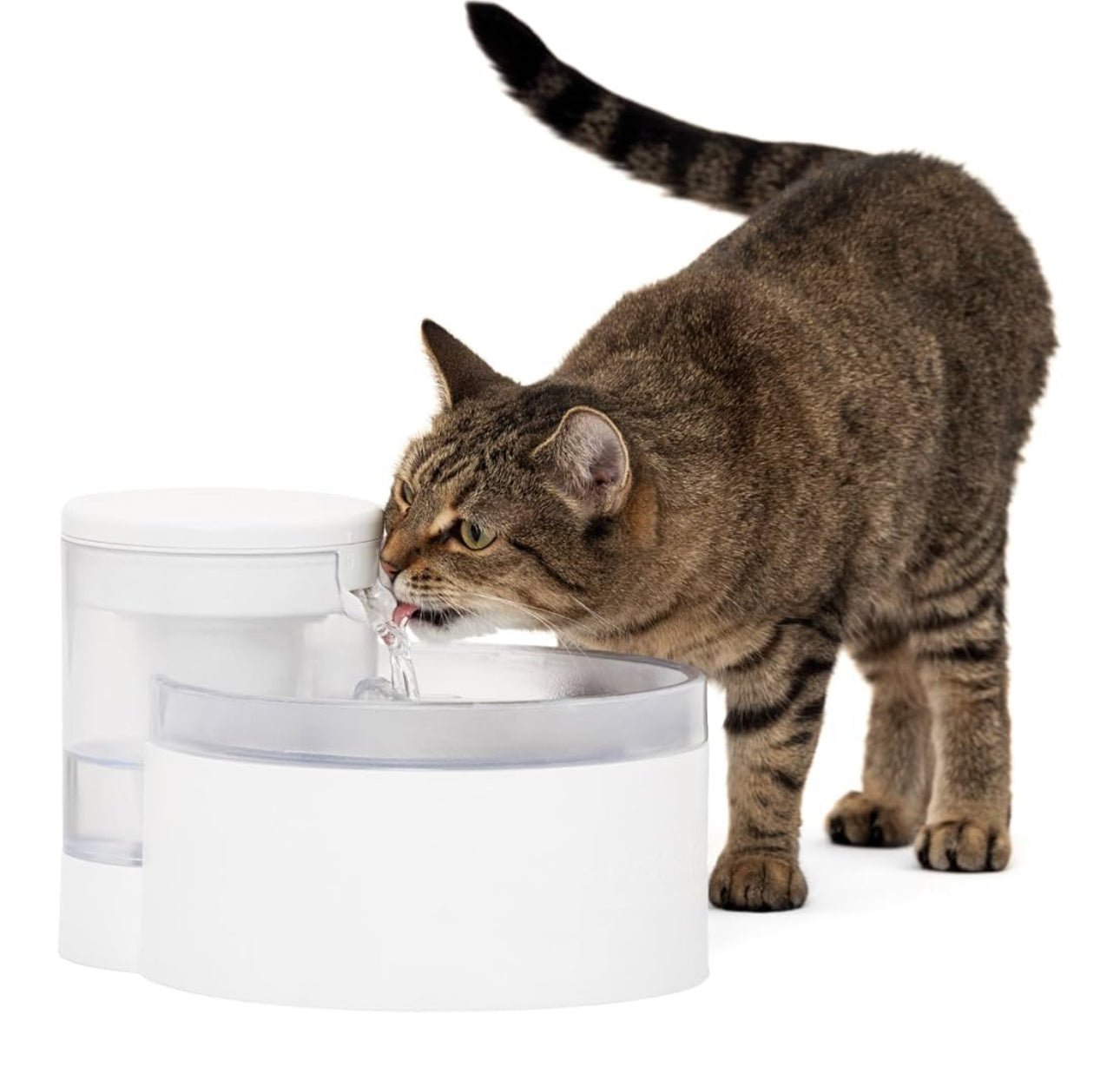 Outlast Pumpless Pet Fountain 1.7L - Furbabies Online