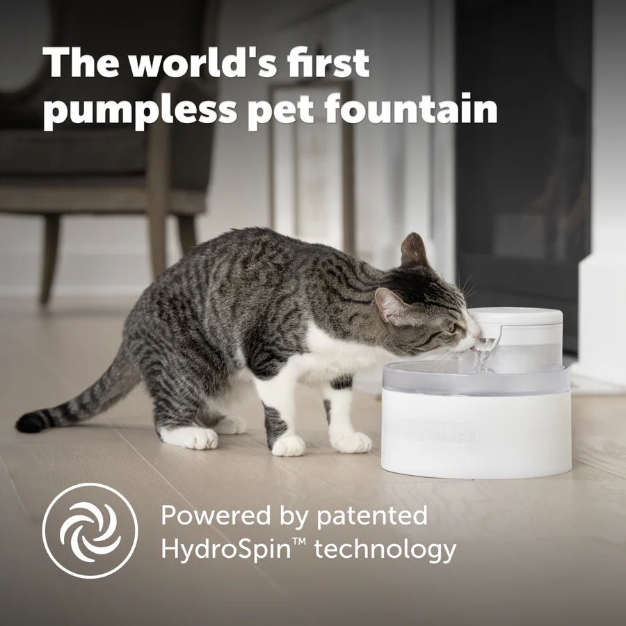 Outlast Pumpless Pet Fountain 1.7L - Furbabies Online
