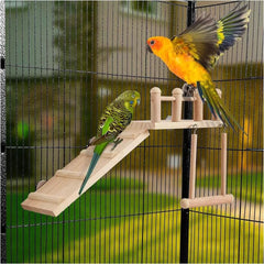 Perches Bird Platform Swing with Climbing Ladder, - Furbabies Online