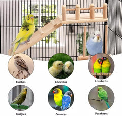 Perches Bird Platform Swing with Climbing Ladder, - Furbabies Online