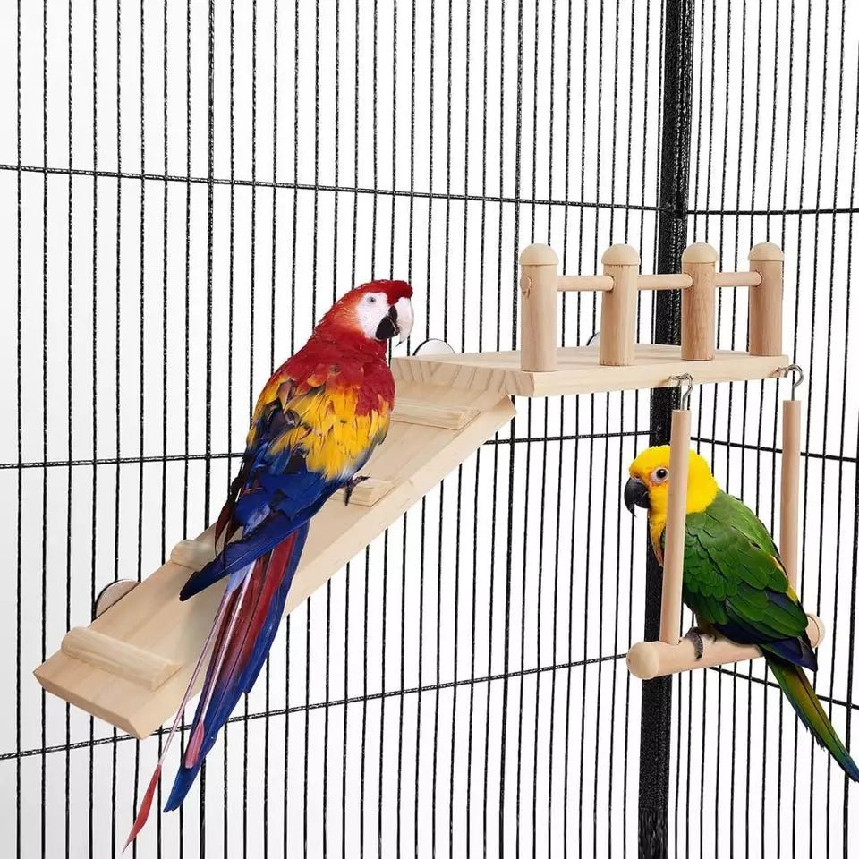 Perches Bird Platform Swing with Climbing Ladder, - Furbabies Online