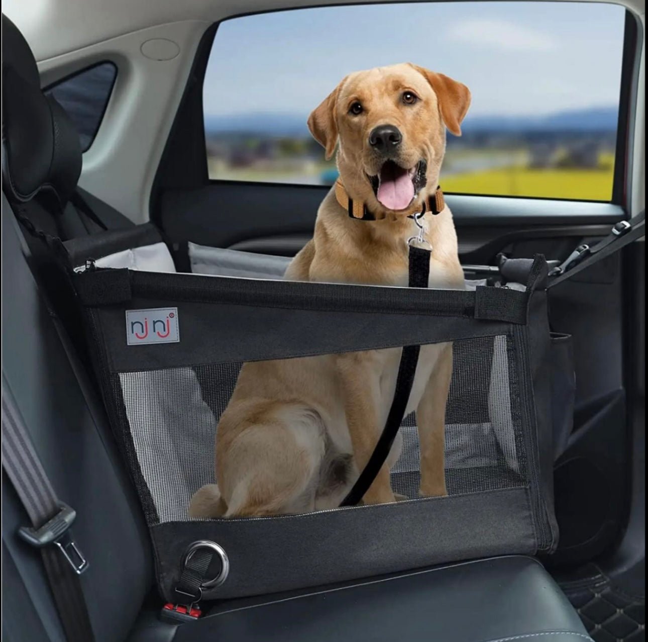 Pet amigos single seat cover - Furbabies Online