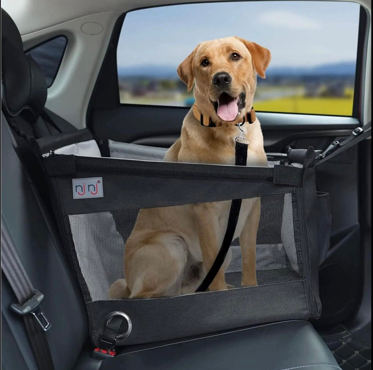 Pet amigos single seat cover - Furbabies Online