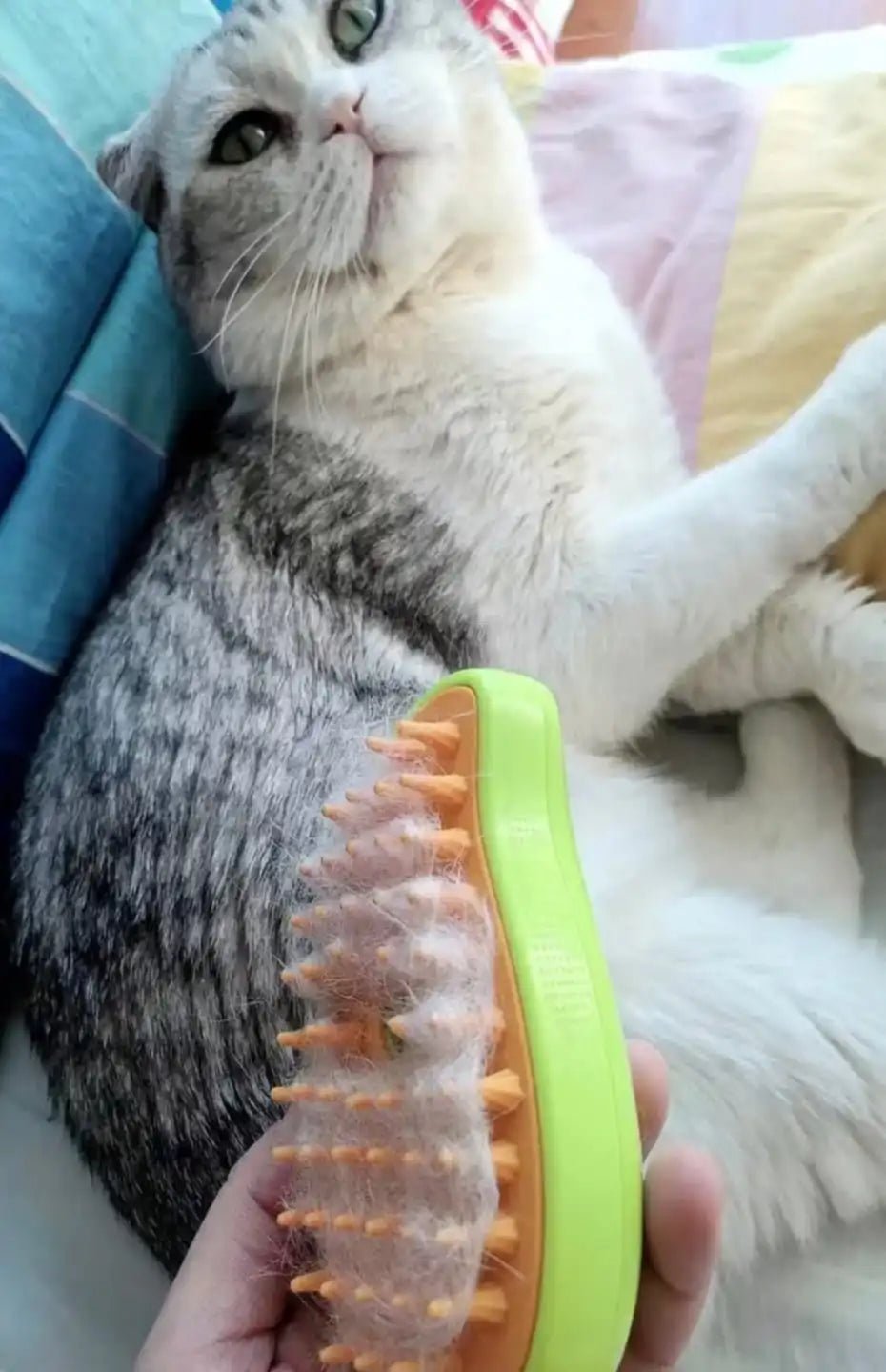 Pet Hair Steam Brush - Furbabies Online